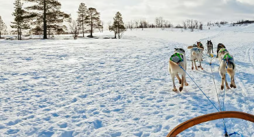 المغامرات والأنشطة الثلجية